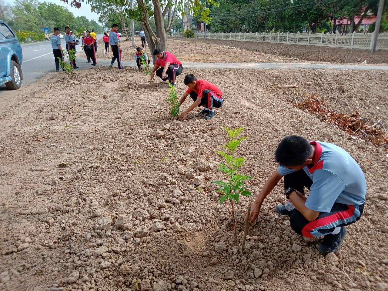 กิจกรรมปรับปรุงภูมิทัศน์เฉลิมพระเกียรติเนื่องในโอกาสวันเฉลิมพระชนมพรรษาฯ  ปลูกต้นทองอุไร จำนวน  200 ต้น ณ ริมถนนสาย 309 หมู่ที่ 1-5  ตำบลราชสถิตย์